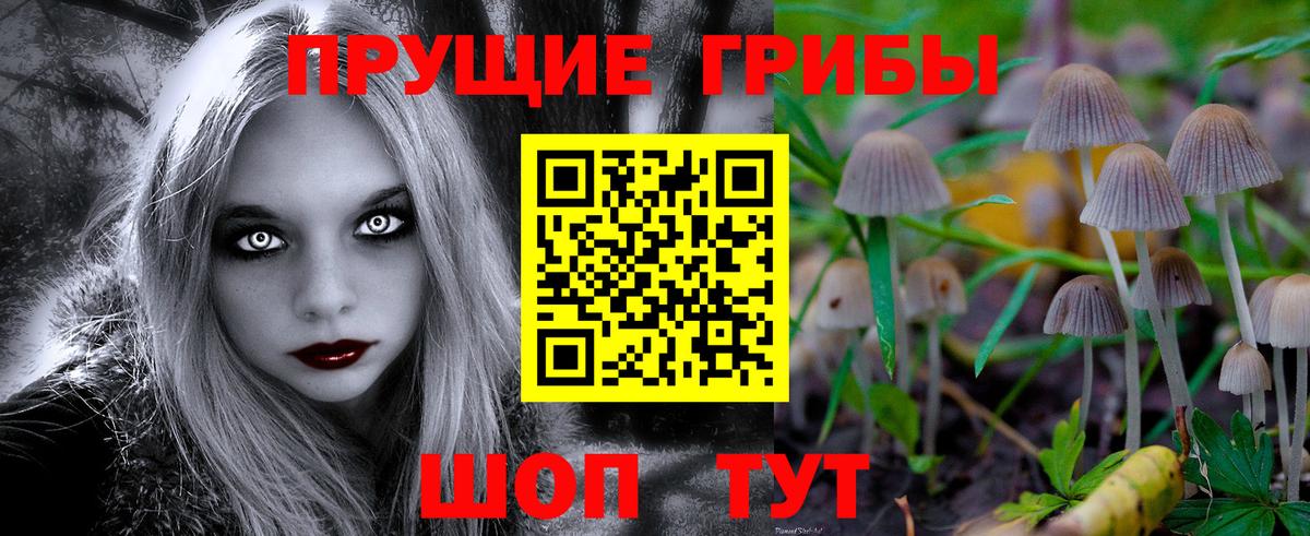 Красноуфимск  где продают наркотики  Вход с VPN  Псилоцибиновые грибы ЛСД 